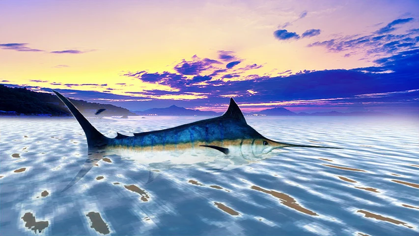 The Blue Marlin screenshot